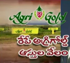 CID to auction AgriGold properties from tomorrow